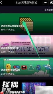 Soul趣味测试查看方法
