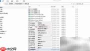查看Windows域控制器Starter GPO