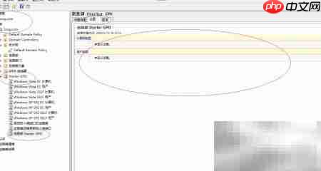 查看Windows域控制器Starter GPO