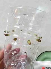 虹之玉繁殖方法详解