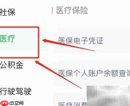 线上查询药品信息指南