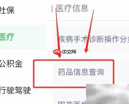 线上查询药品信息指南