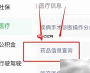 线上查询药品信息指南