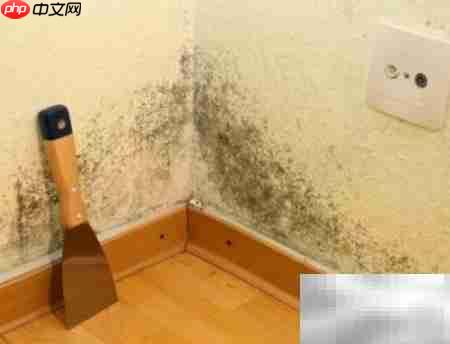租房遇房屋发霉如何维权
