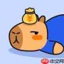 咔皮记账app如何记账