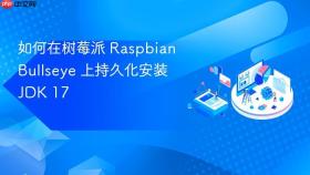 如何在树莓派 Raspbian Bullseye 上持久化安装 JDK 17
