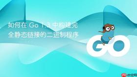 如何在 Go 1.3 中构建完全静态链接的二进制程序