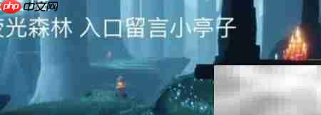 光遇2.11雨林蜡烛点位