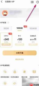 云服务VIP订单管理