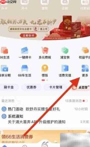 浦大喜奔账务还款查询指南