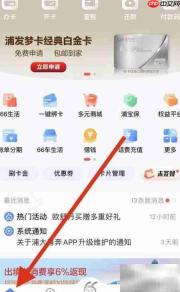 浦大喜奔账务还款查询指南