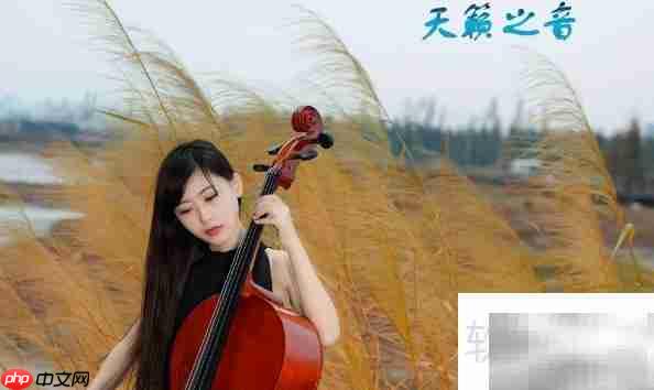 天籁之音如何补充