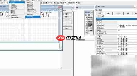 VF6.0控件布局与修饰技巧