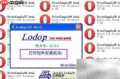 LODOP打印控件安装指南