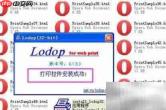 LODOP打印控件安装指南