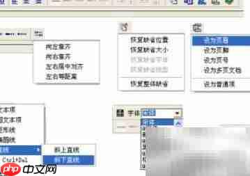 LODOP打印控件安装指南