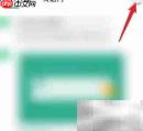 彩云小译通知设置教程