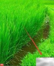 电脑时间不准？自动校准方法