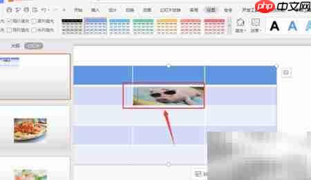 WPS幻灯片表格图片填充技巧
