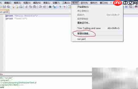 搭建Windows下Perl开发环境