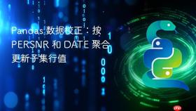 Pandas 数据校正:按 PERSNR 和 DATE 聚合更新子集行值