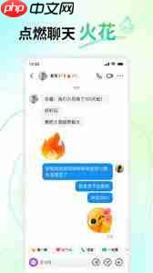 多闪抖音聊天版网页版主页是什么样