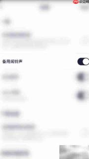 关闭Tuneln Radio备用闹铃