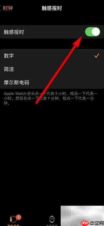 苹果手表轻点报时设置方法