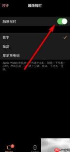 苹果手表轻点报时设置方法