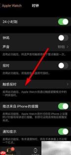 苹果手表轻点报时设置方法