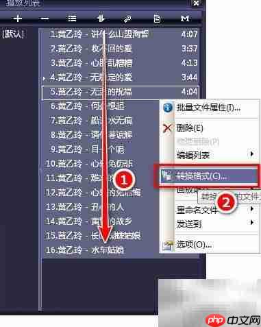 CUE文件分割无损音乐技巧