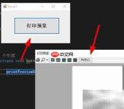 C打印预览控件使用指南