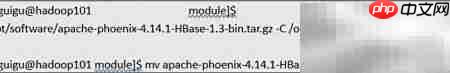 Phoenix安装指南
