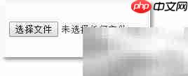 文件选择器美化技巧