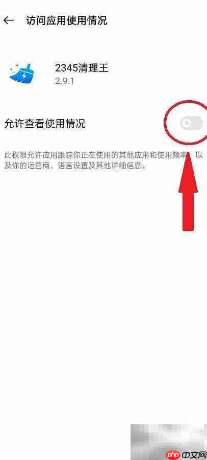 2345清理王应用伪装开启方法