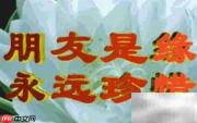 好男人人品挑选指南