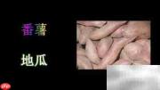 如何辨别纯白薯粉