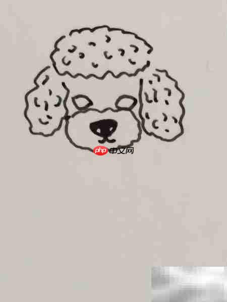 摄影棚中的泰迪犬插画