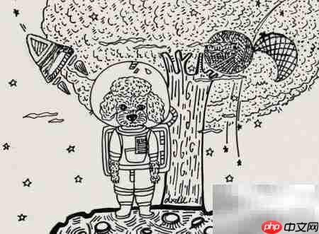 摄影棚中的泰迪犬插画