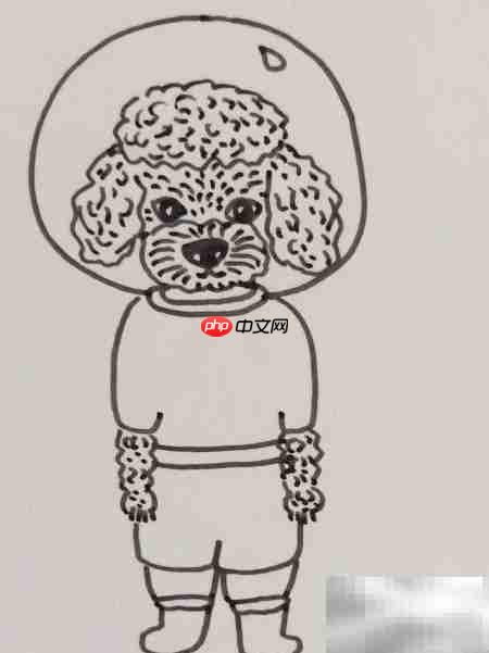摄影棚中的泰迪犬插画