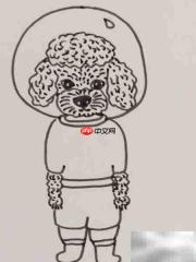 摄影棚中的泰迪犬插画