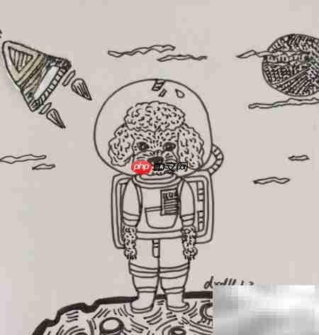 摄影棚中的泰迪犬插画