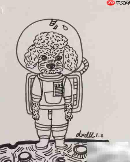 摄影棚中的泰迪犬插画