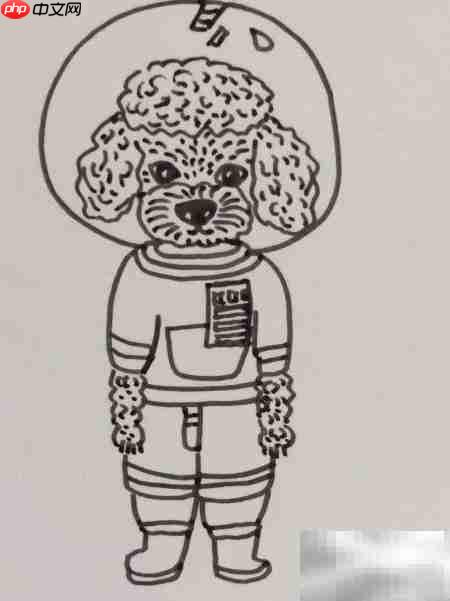 摄影棚中的泰迪犬插画