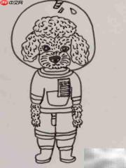 摄影棚中的泰迪犬插画