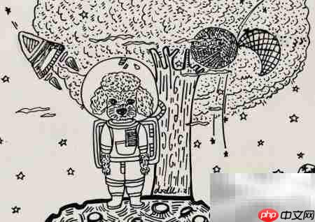 摄影棚中的泰迪犬插画