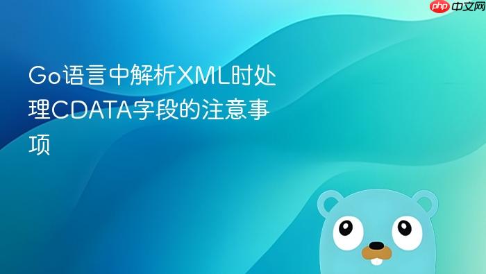 Go语言中解析XML时处理CDATA字段的注意事项