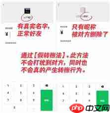 微信怎么看自己是否被对方删除