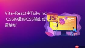 Vite+React中Tailwind CSS的最终CSS输出位置解析
