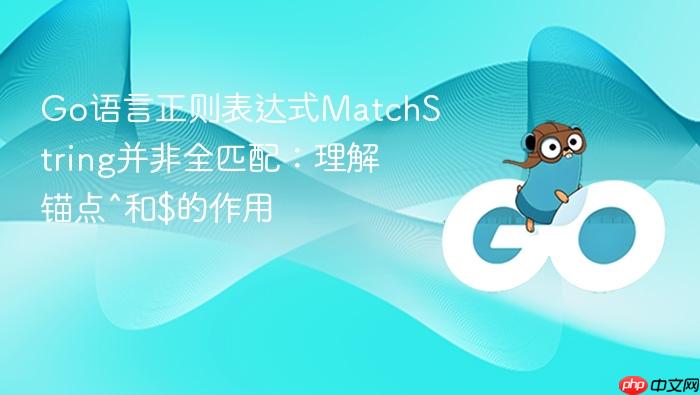 Go语言正则表达式MatchString并非全匹配:理解锚点^和$的作用